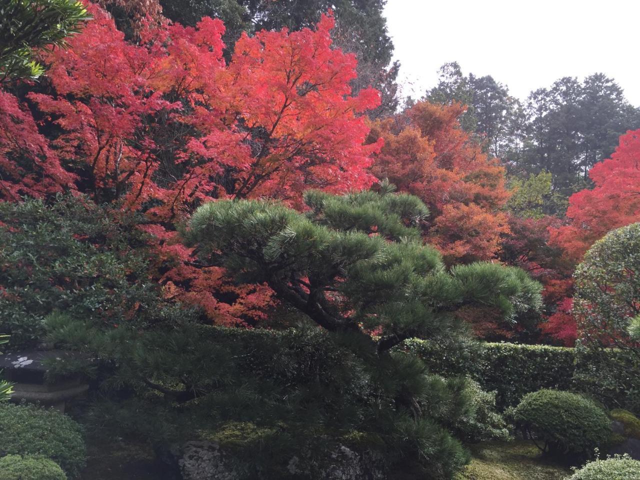 Ryokan Yamazaki Kyoto Eksteriør bilde